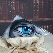 The Wizarding Trunk Broken Mirror Shard Harry Potter Years 1-7 Eye