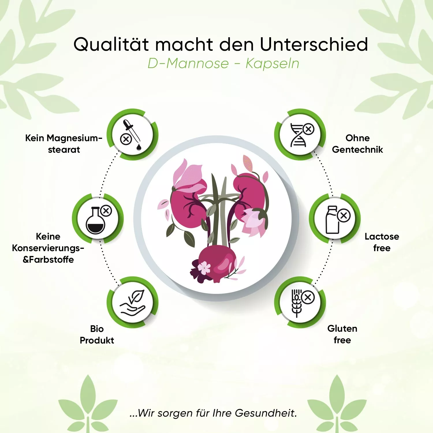 Bild 5 von 5