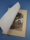 Arthur Rackham Book Of Pictures ~ Illustration Tipped-In Plate ~ 1st Ed 1913 #29