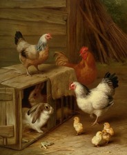 Arte de pared decoración del hogar animales pollos en la granja pintura al óleo impresa sobre lienzo