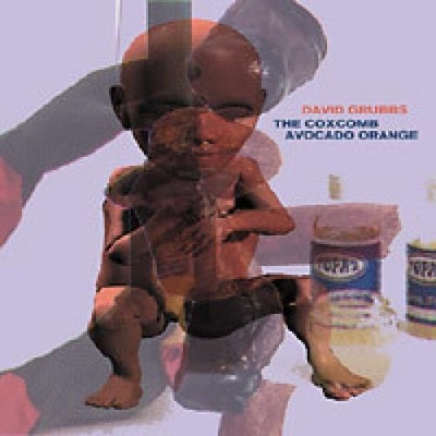 David Grubbs - The Coxcomb / Avocado Orange (CD) (Near Mint (NM or M-)) - 316321