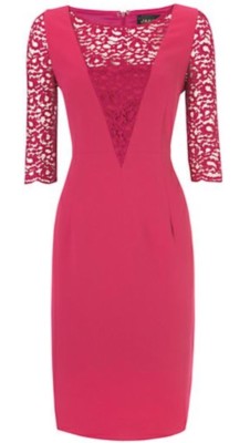 BNWT Jaeger  Raspberry Crepe & Lace Dress Size 12