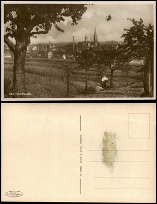 Ansichtskarte Geringswalde Stadt Fabrik - Baumpflanzung 1927