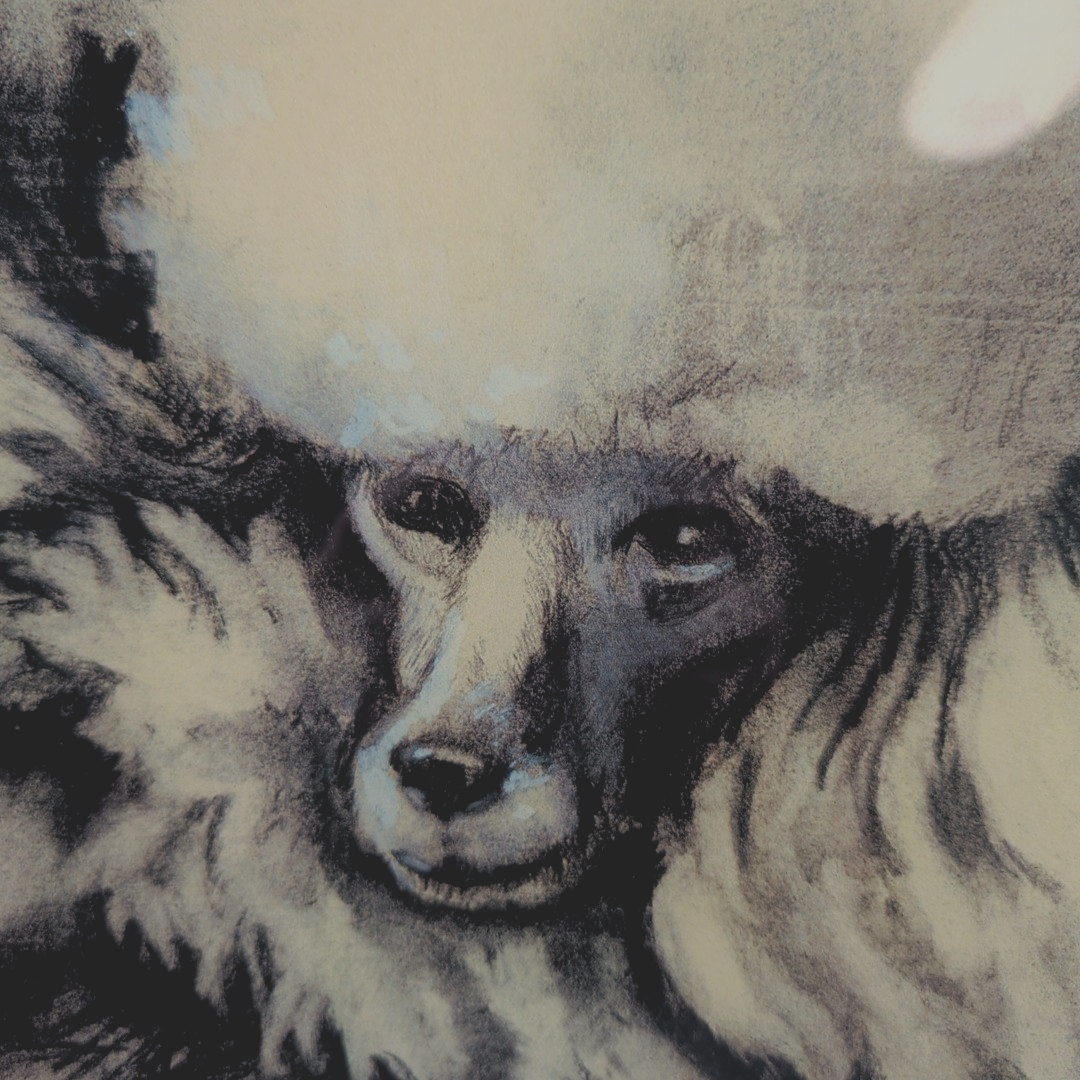 John Derian Co. Poodle Dog Sketch Decoupage Glass Plate Signed 11