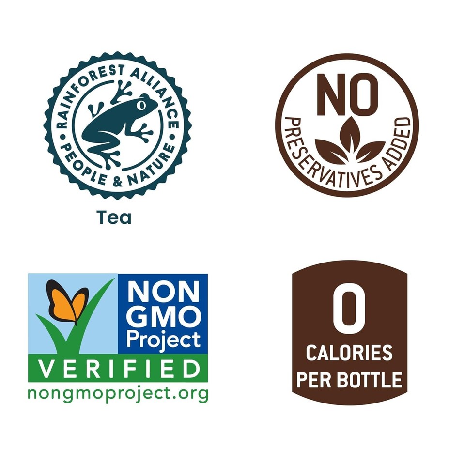 Tejava Unsweetened Raspberry Black Iced Tea, 16.9oz PET Bottles, 12 ...