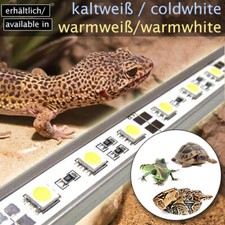 BELEUCHTUNG LEUCHTE LED KALTWEISS 60CM TERRARIUM STEUERUNG FROSCH SPINNE TB4