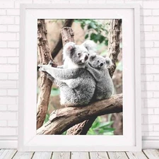 Koala - Australian Native Poster Picture Print Sizes A5 to A0 **FREE DELIVERY**