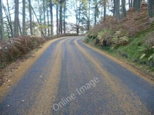Photo 6x4 Pine needles on the road surface in the Elan Valley Elan Villag c2010