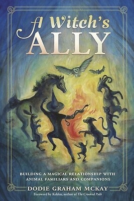 A Witch's Ally: Building a Magical Relat McKay, Dodie Graham Paperback