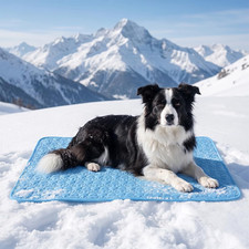 Generisch K&uuml;hlmatte F&uuml;r Hunde, 2026 Neu Selbst K&uuml;hlende Hundematte Sommer, Wasch