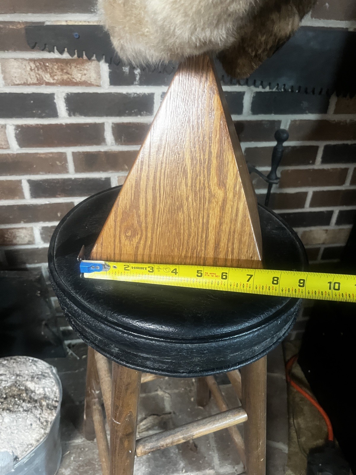 East Tennessee Coyote Taxidermy Shoulder Mount on Hardwood Base