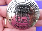 US Department of the interior Forest Reserve Ranger  Badge Pin