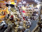 Foto 6 di 14