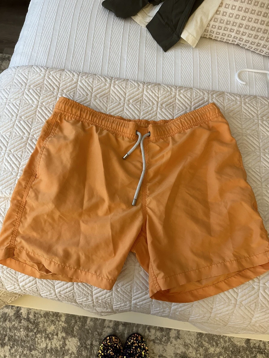Blue mint swim shorts sales