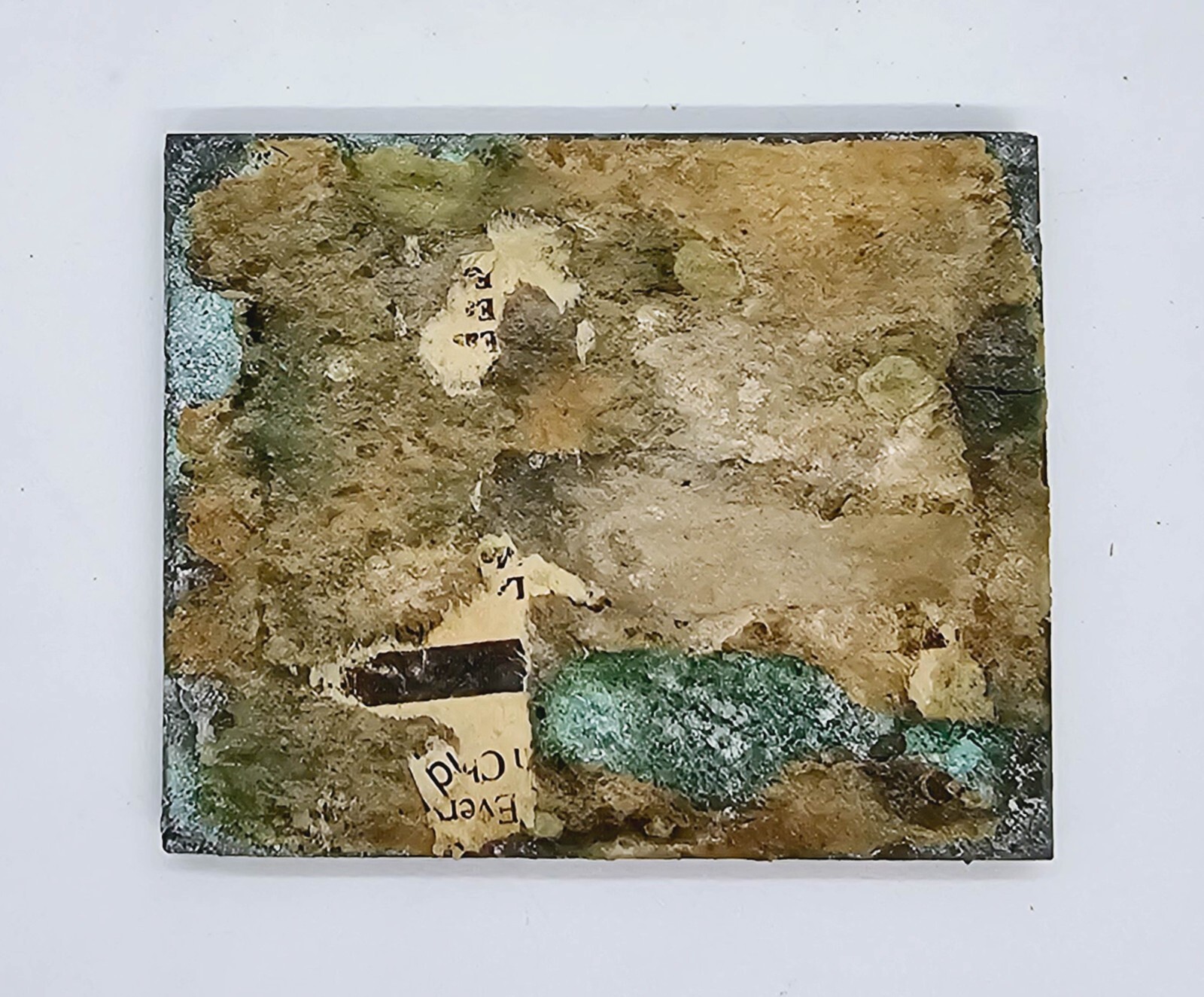 Picture 8 of 10