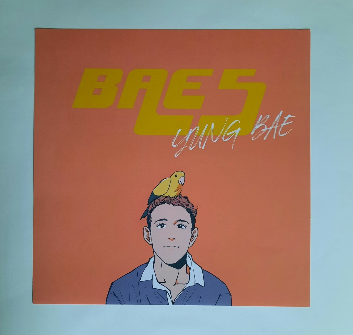 【未開封/Sealed】Yung Bae LP レコード vaporwave YungBae-
