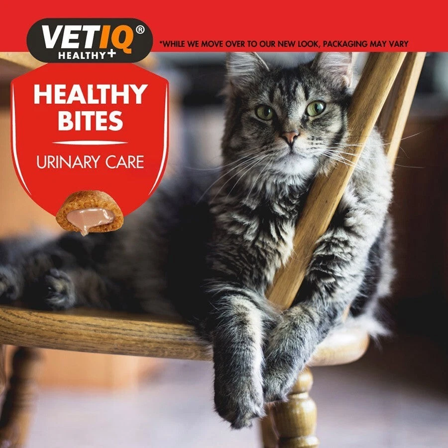 8 x VetIQ Urinary Care Cat Treats 65g | 520g Total | Cranberry & Catnip Bite - Image 4 of 4