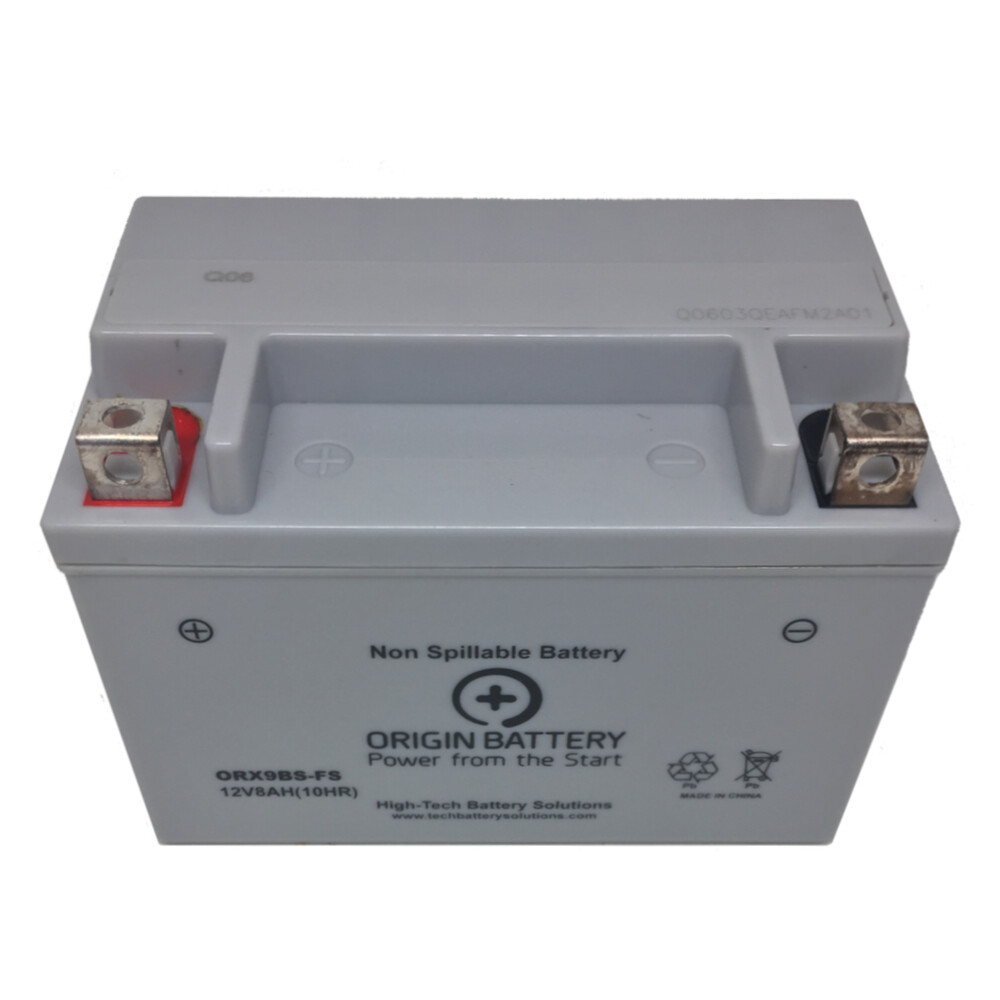 カエデ出品 Kawasaki ZX636-C Ninja ZX-6R Battery, Also Fits ZX600-N, ZX-6RR