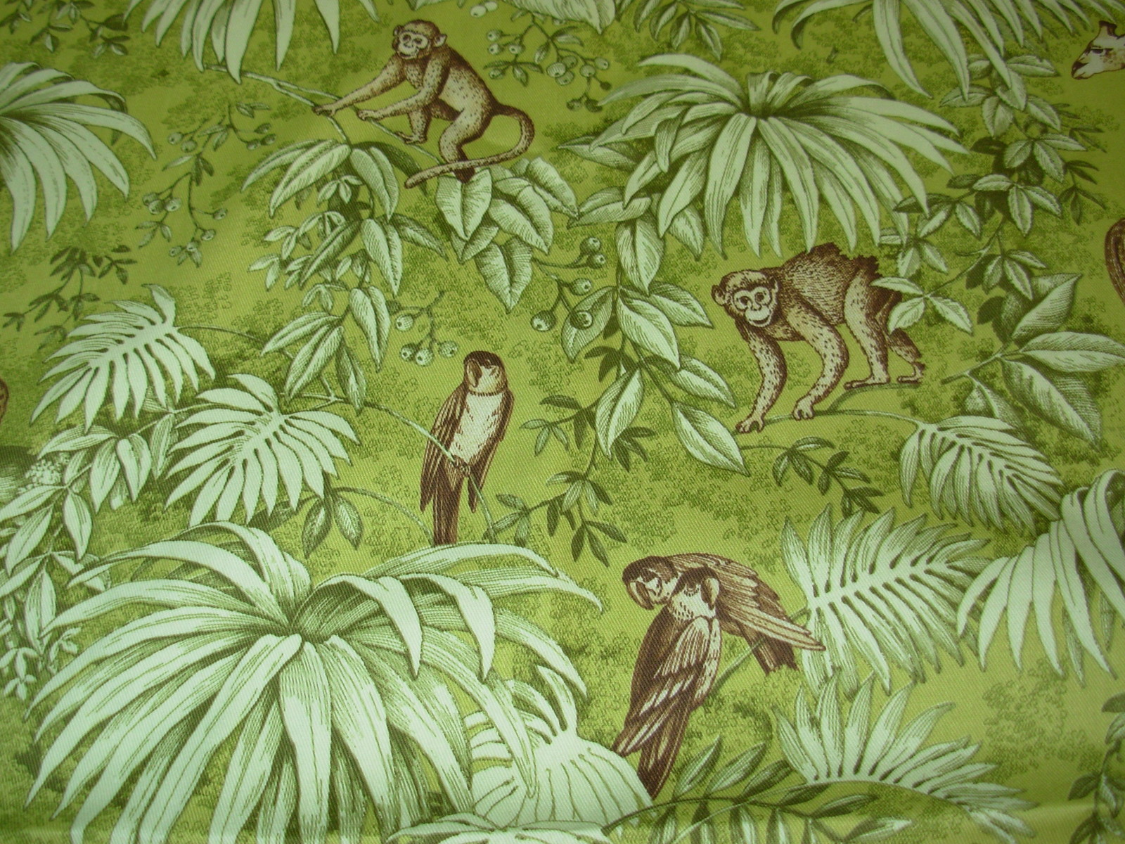 Picture 2 of 5