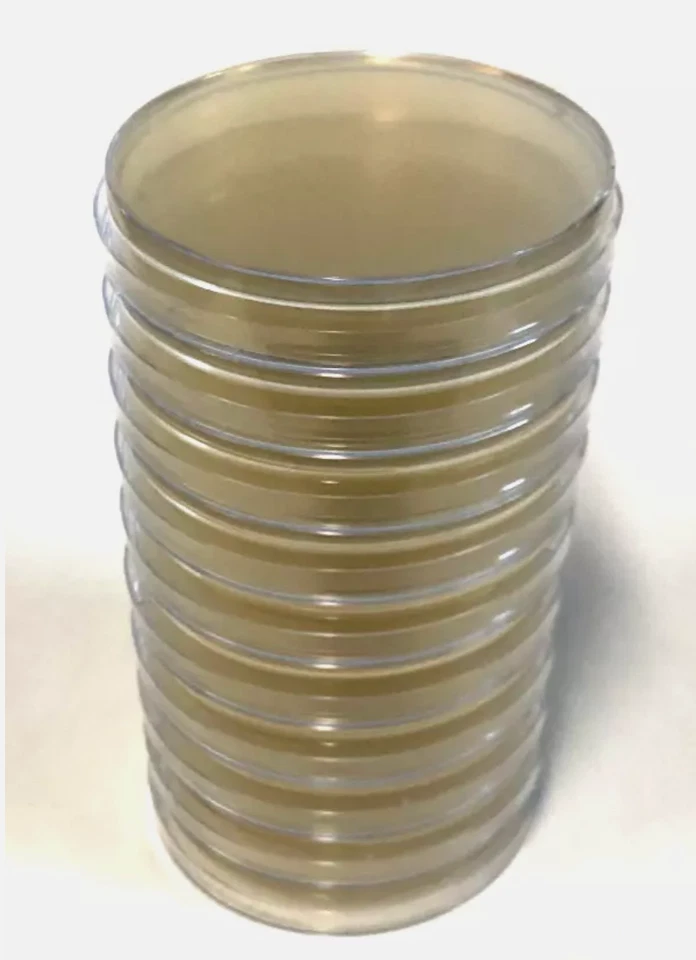 10x Pre-poured MEA (Malt Extract Agar) Agar Petri Dishes in 90mm Plates