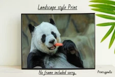 PANDA FUN A4 PICTURE POSTER WALL ART HOME DECOR UNFRAMED GIFT NEW ANIMAL