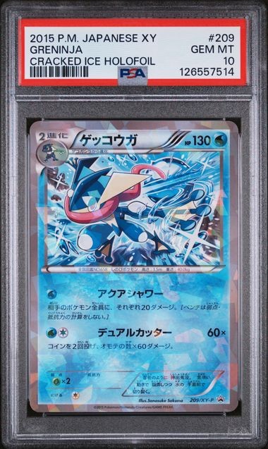 PSA 10 Greninja 209/XY-P Promo Cracked Ice Holo Japanese Pokémon