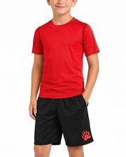 Active Boys Short Sets - 2 Piece Performance Crewneck Short Sleeve T-Shirt an...