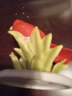 Cardinal Head UP Hand Painted Lefton China on flowers some discoloration RW464 — photo 7