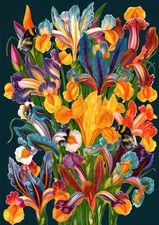 5060678682514 Karnet B6 z kopertą Irysy nocą Madame Treacle