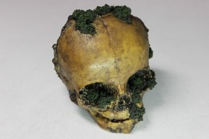 MOSS COVERED PARTIAL FETAL SKULL  HORROR HALLOWEEN PROP