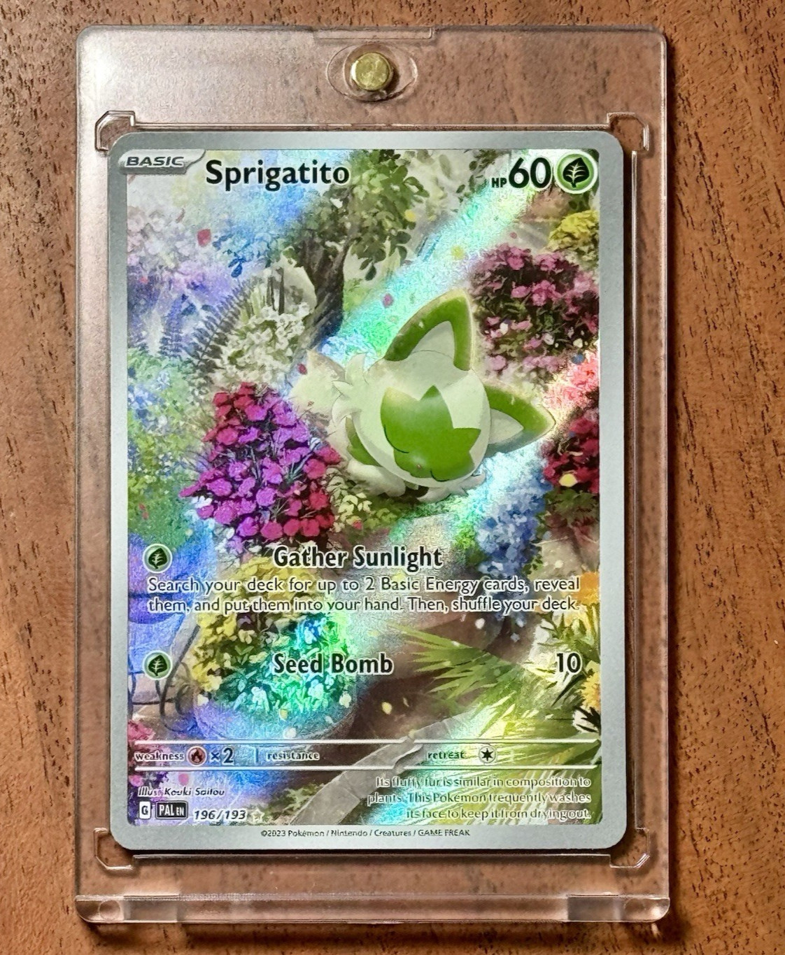 Pokemon Sprigatito 196/193 Sv02: Paldea Evolved Full Art Holo