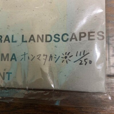 ホンマタカシARCHITECTURAL LANDSCAPES ポスター