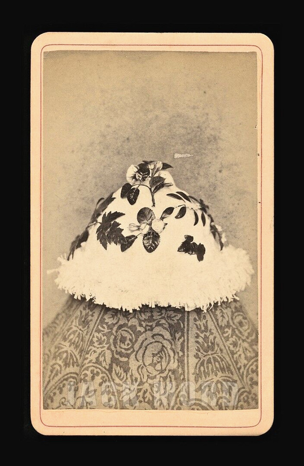 An 1870s carte-de-visite photo featuring a mysterious flower-covered object from Baldwinsville, NY — nobody knows exactly what it is, which makes it endlessly conversation-starting.