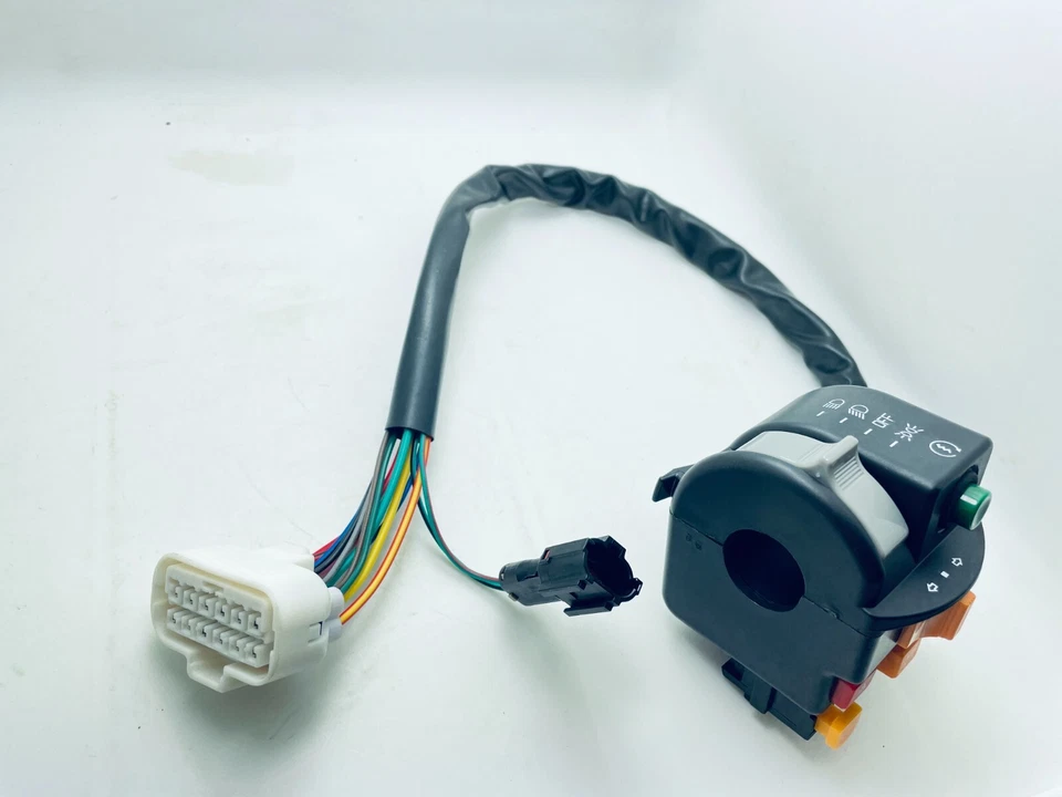 Conjunto de interruptor izquierdo con 14 cables P201001374001000 Fit HiSun ATV Forge 250cc Foto 4 de 4