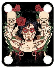 Neckplate fit Electric Guitar Color Graphic P & J Bass Strat Tele Skull Posse