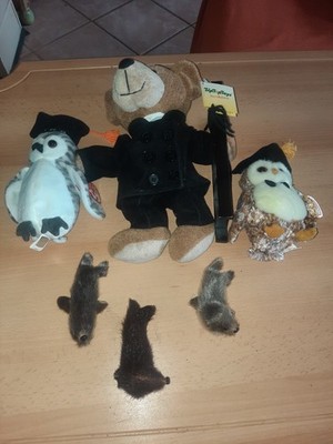 Stofftier Konvolut Beanie Baby Ty Wiser Smater Kaminkehrer TipTopToys Robbe
