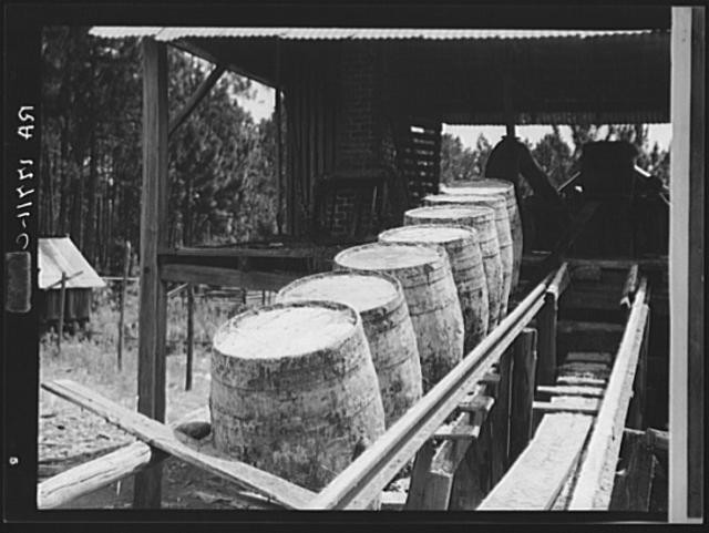 Turpentine,Georgia,GA,Farm Security Administration,Dorothea Lange,1937,FSA 1