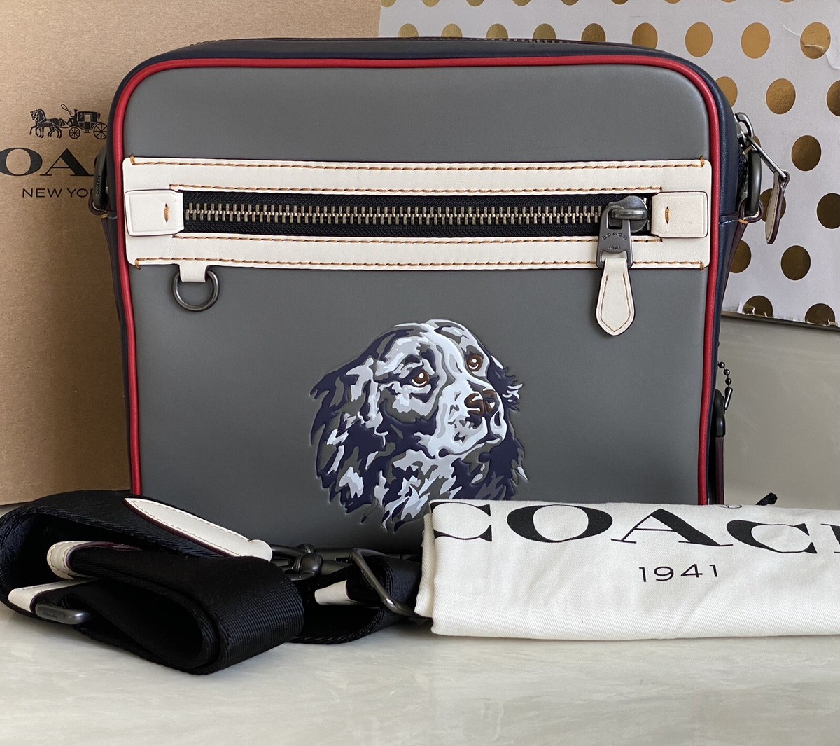COACH 1941 　ディラン　ショルダーバッグ COACH 1941 GRAY/MULTI LEATHER DYLAN VINTAGE DOG MESSENGER