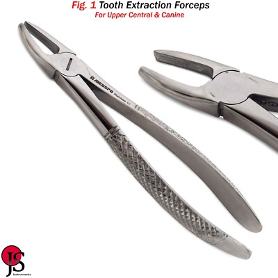 Dental Tooth Extraction Forceps Upper Central Lateral