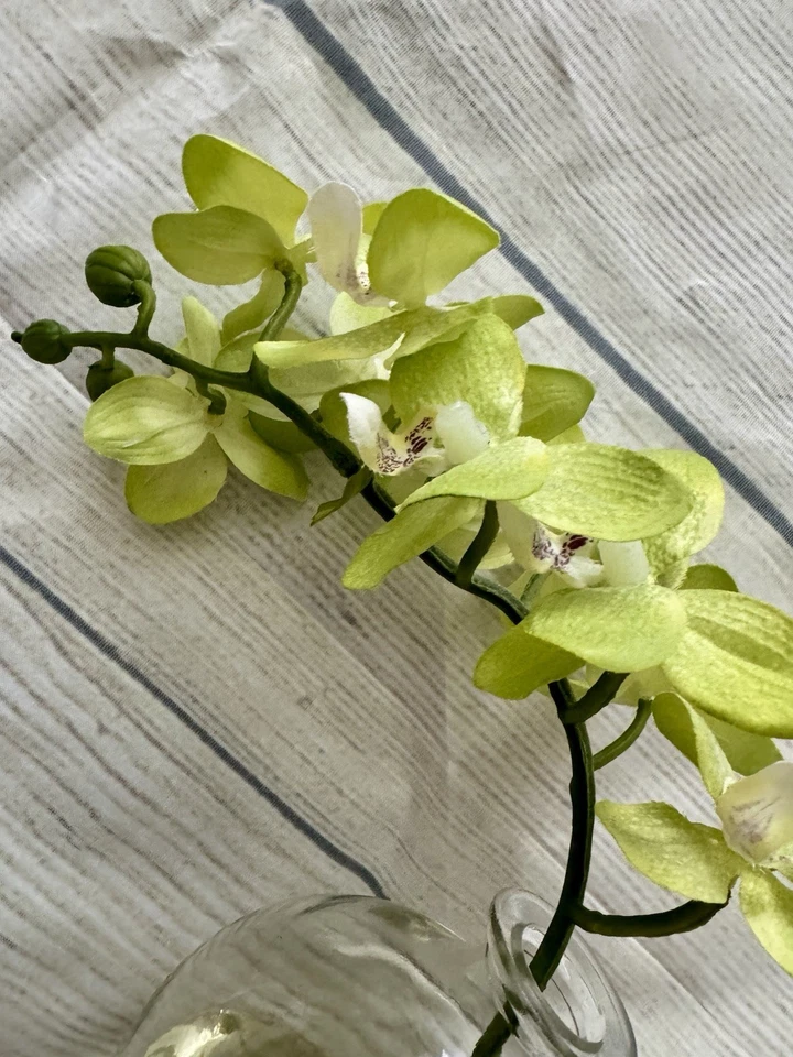 Arreglo Seda Orquídea Verde Silks Are Forever - Excelente Estado Foto 3 de 4