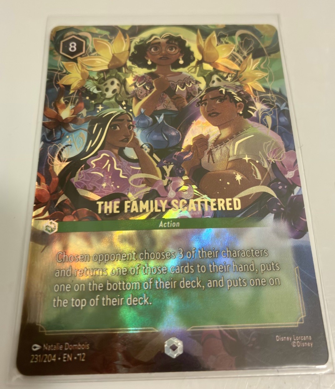 The Family Scattered Enchanted Foil 231/204 EN (Disney Lorcana Wilds Unknown)