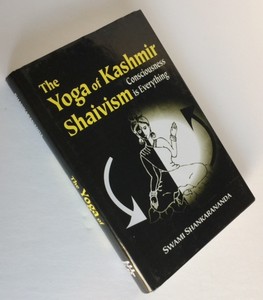 Details About The Yoga Of Kashmir Shaivism - 