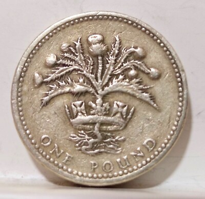 1984 Queen Elizabeth II D G REG F D One Pound Coin 22mm | eBay