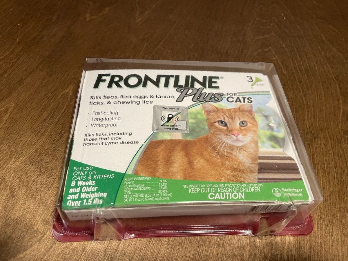 Flea Eggs Frontline For Cats Cheapest Price Cat Flea Treatment