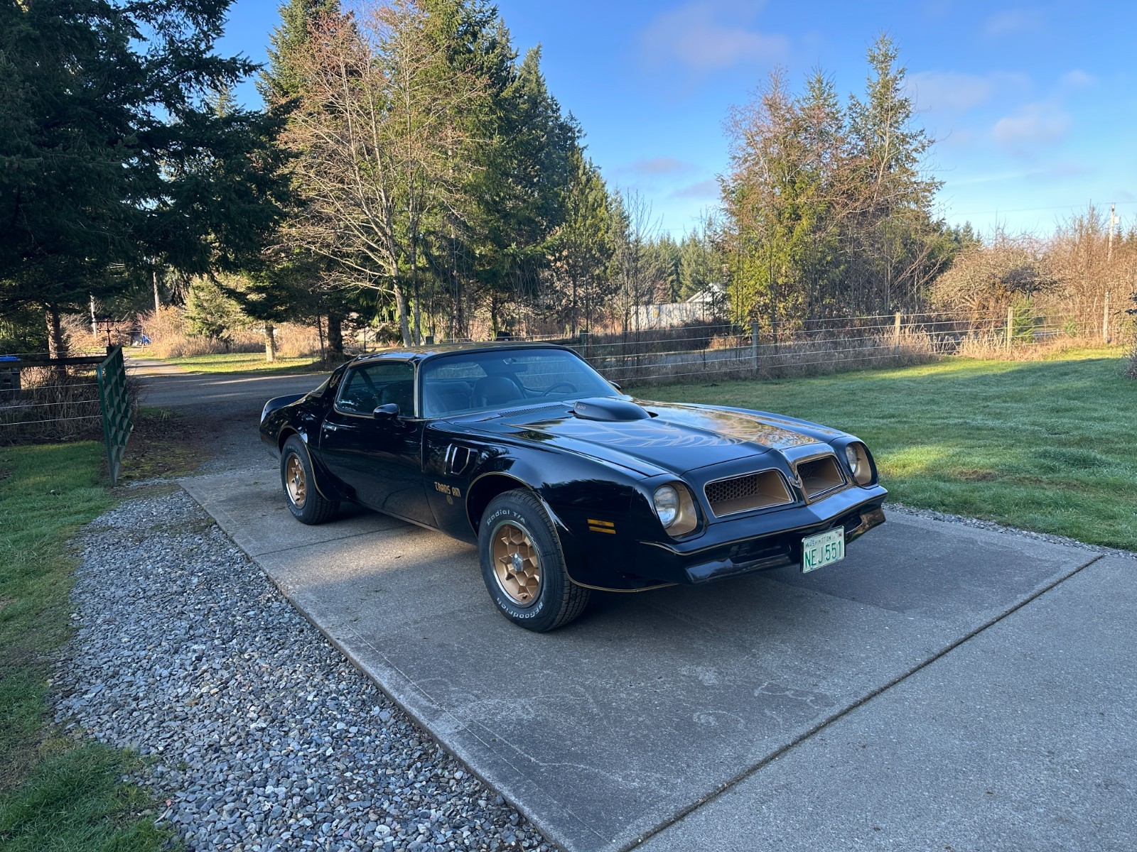 1976 Pontiac Trans Am for sale in Tenino Washington