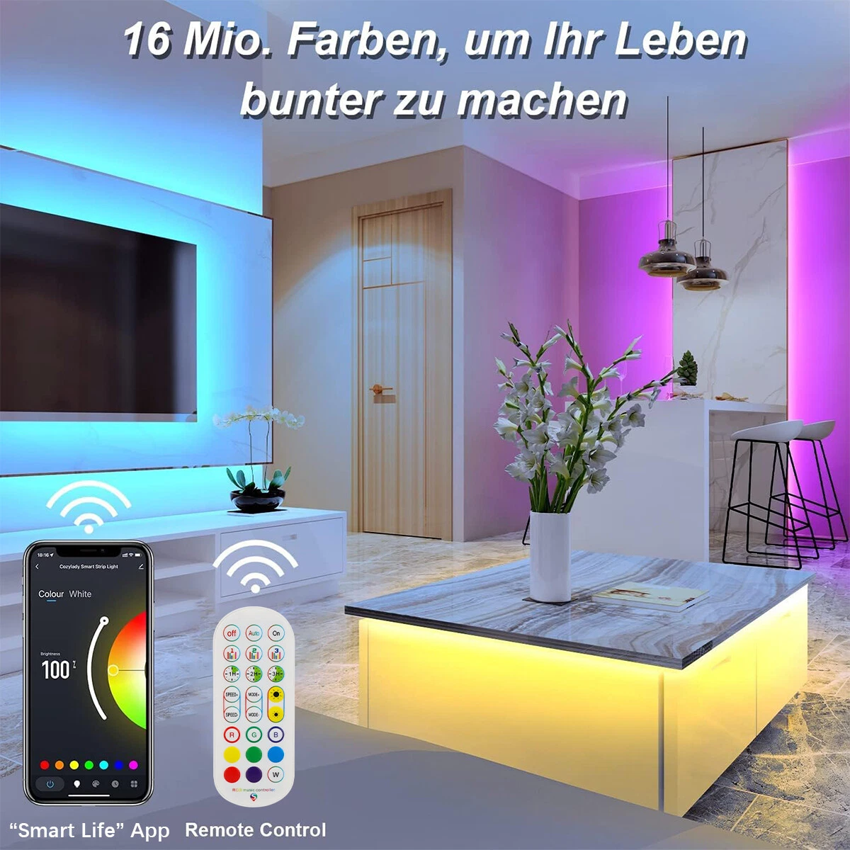 Bild 8 von 24