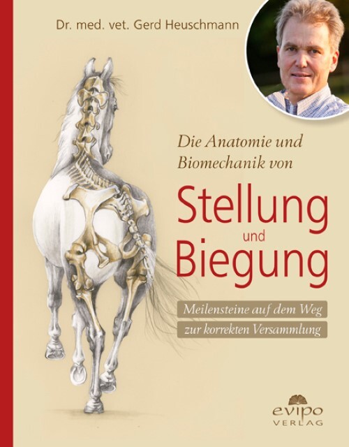 Die Anatomie Und Biomechanik Von Stellung Und Biegung Gerd Heuschmann
