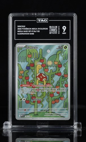 Shuckle graded TAG 9 for sale on eBay