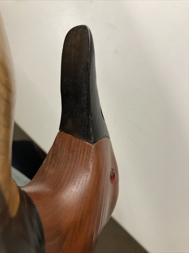 Canvas Back Wood Duck Carving Signed D L Holt 9-82 - Picture 17 of 24