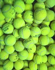 15 USED TENNIS BALLS FOR DOGS - BRANDED BALLS - VERY LOW PRICE !
